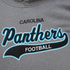 Carolina Panthers Vintage Logo Snow Washed Fleece Pullover Hoodie Heather Gray - Mitchell & Ness