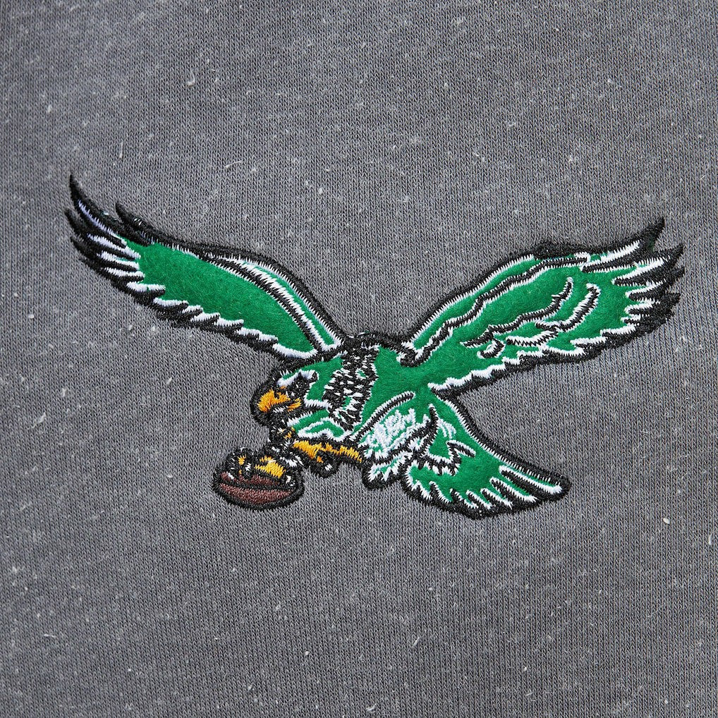 Philadelphia Eagles Vintage Logo Snow Washed Fleece Pullover Hoodie Heather Gray - Mitchell & Ness