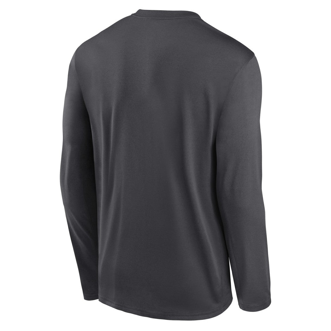 Detroit Lions Primetime Legend Icon Performance Long Sleeve T-Shirt Anthracite - Nike