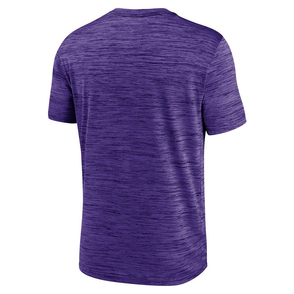 Minnesota Vikings Big & Tall Primetime Reverse Play Velocity Performance T-Shirt Purple - Nike