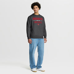 Tampa Bay Buccaneers Powerful Throw Legacy Pullover Sweatshirt Heather Pewter - Fanatics