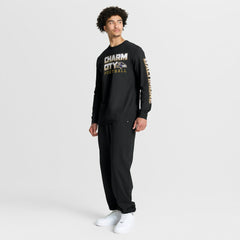 Baltimore Ravens Hometown Sweep Legacy Long Sleeve T-Shirt Black - Fanatics