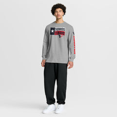 Houston Texans Hometown Sweep Legacy Long Sleeve T-Shirt Heather Gray - Fanatics
