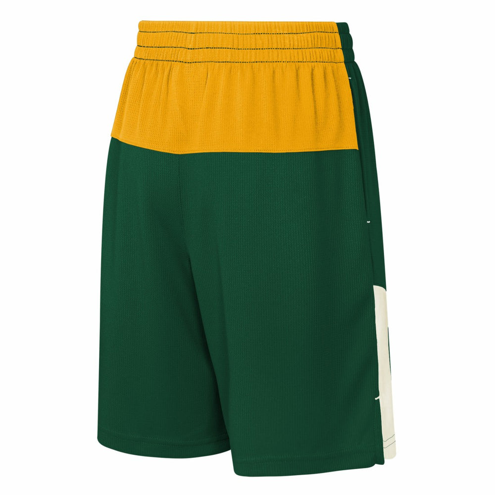 Green Bay Packers Youth Fandemonium Mesh Shorts Green - NFL
