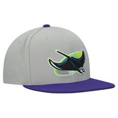 Tampa Bay Rays Mitchell & Ness Cooperstown Collection Basic Flip Snapback Hat for sale
