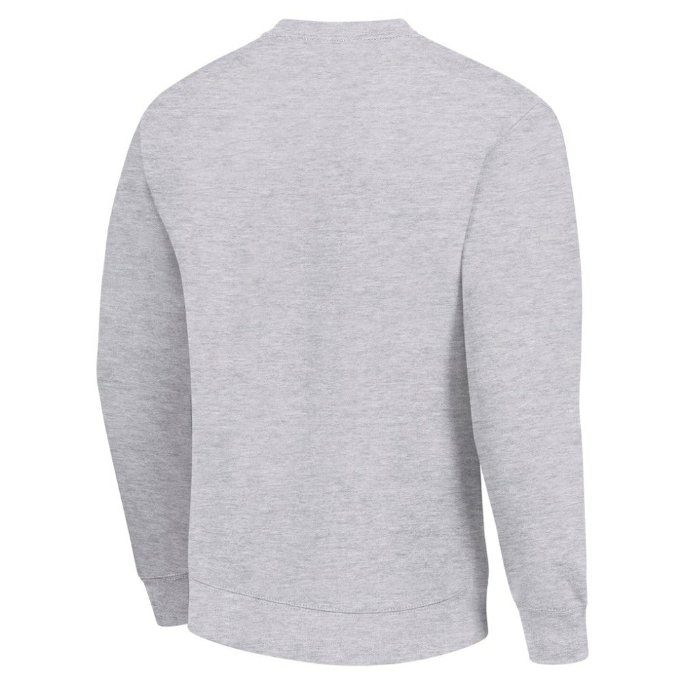 Minnesota Wild - Men's Starter Team Logo Fleece Pullover Sweatshirt Heather Gray