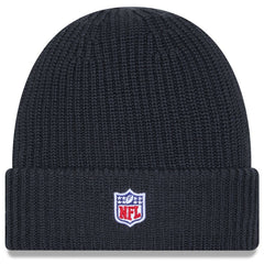 Arizona Cardinals New Era 2025 Sideline Cold Weather Cuffed Knit Hat Charcoal - NFL