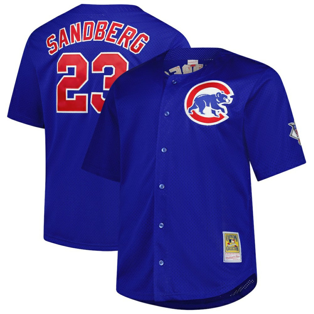 Ryne Sandberg Chicago Cubs Mitchell & Ness Big & Tall Cooperstown Mesh Batting Practice Jersey Online