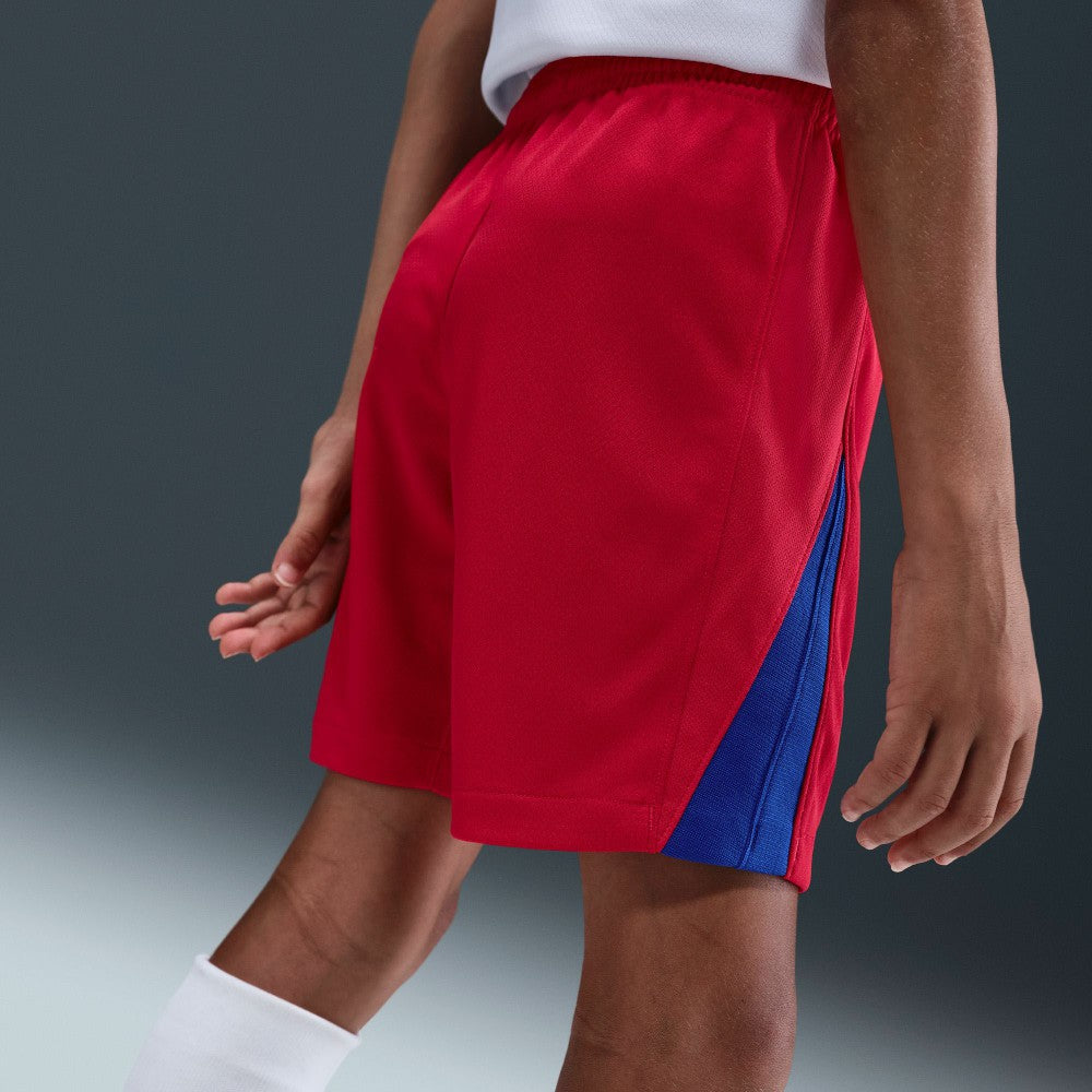 Nike Paris Saint-Germain Youth 2025/26 Dri-FIT Stadium Shorts - Red