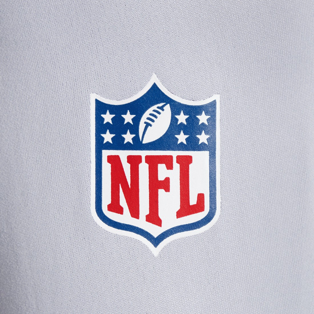 Seattle Seahawks 2025 Rivalries Collection Sideline Legend Dri-FIT Long Sleeve T-Shirt Wolf Gray - Nike