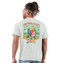 Atlanta Falcons Margaritaville Wastin' Away T-Shirt Gray - NFL