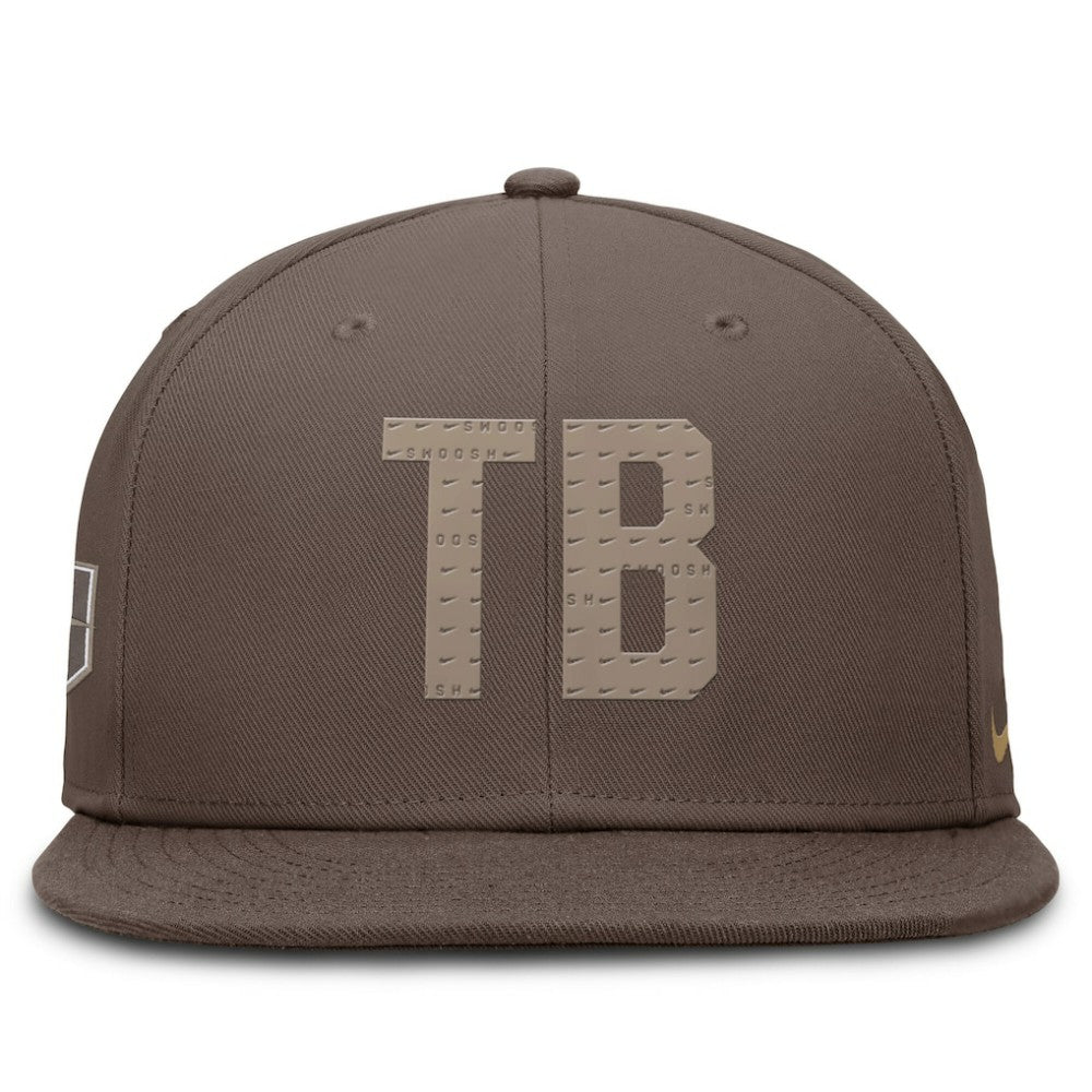 Tampa Bay Rays Nike True Statement 20th AnniversaryPerformance Fitted Hat Sale