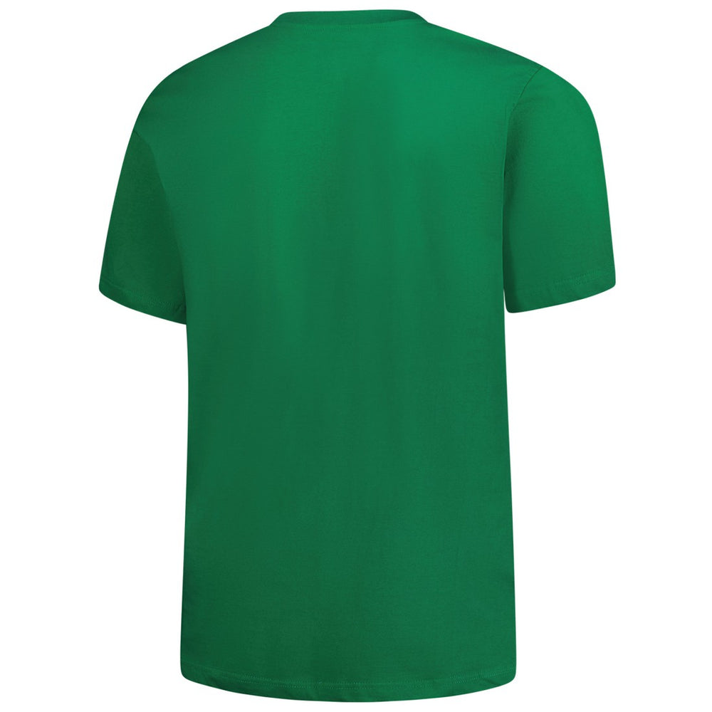 Detroit Lions Big & Tall Celtic T-Shirt Kelly Green - Fanatics