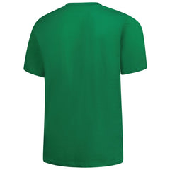 Detroit Lions Big & Tall Celtic T-Shirt Kelly Green - Fanatics