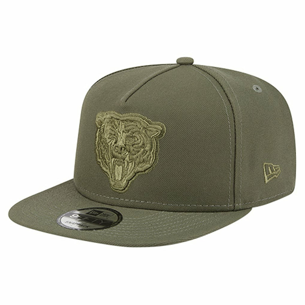 Chicago Bears New Era Youth Color Pack A-Frame 9FIFTY Snapback Hat Olive - NFL