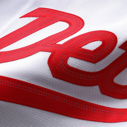 Detroit Red Wings Fanatics 2025 NHL Stadium Series Premium Jersey - White | NHL Jerseys