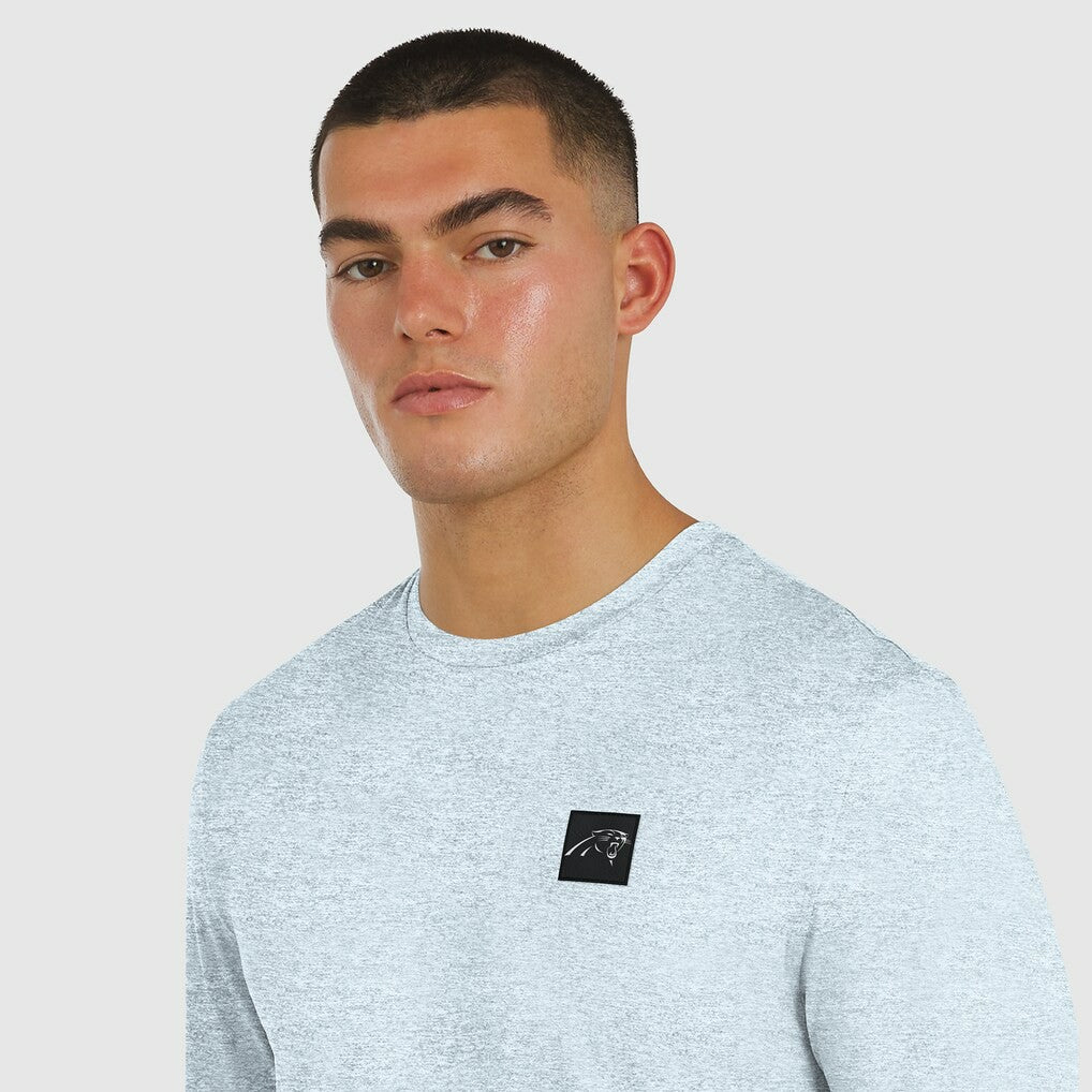 Carolina Panthers J. Palmer Four Down Long Sleeve T-Shirt Gray - NFL