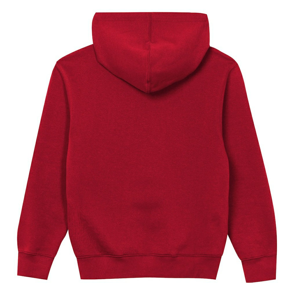 Atlanta Falcons Outerstuff Preschool Back to Basics Hoodie Red - NFL