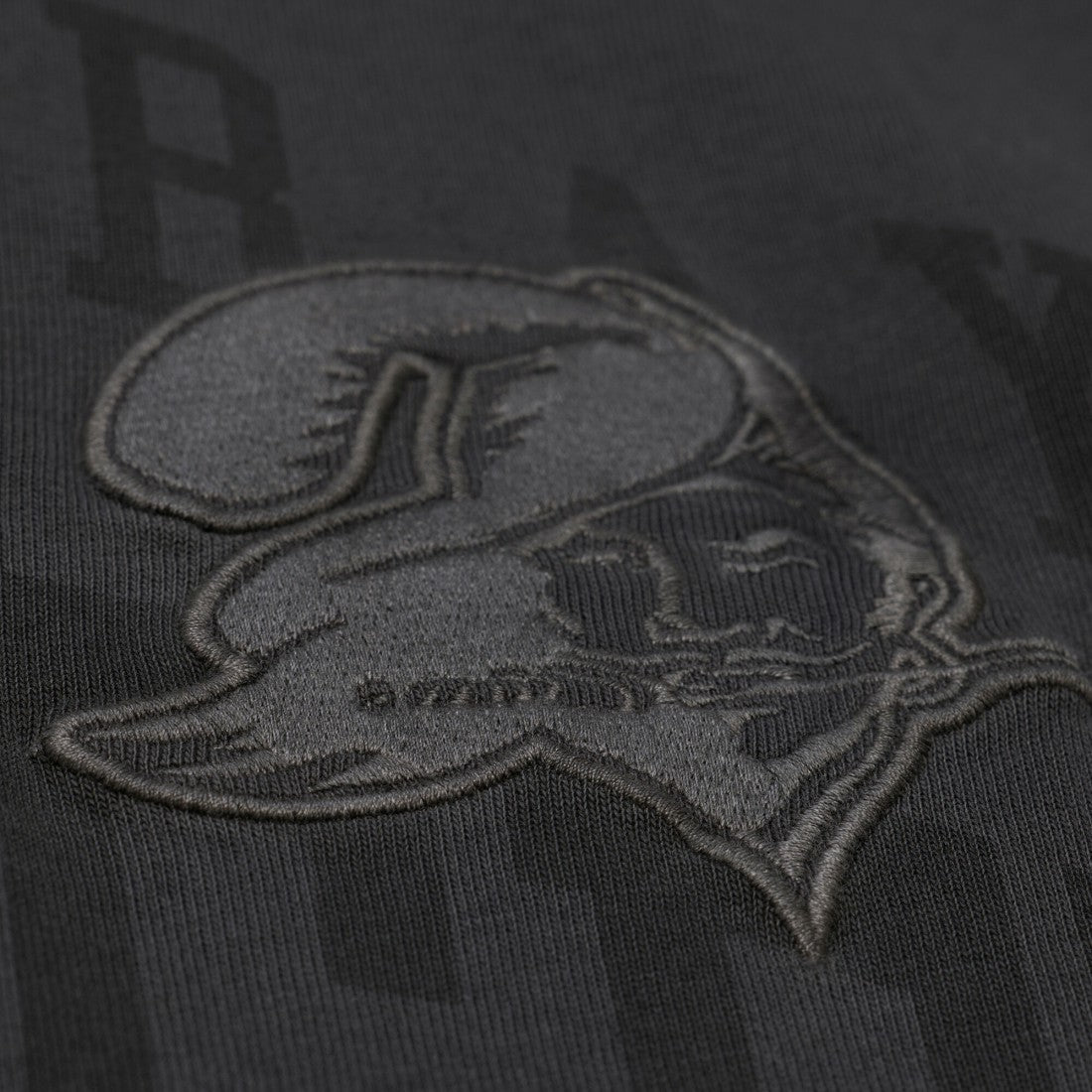 Tampa Bay Buccaneers Downtown Collection Premium Vintage Logo T-Shirt Black - Mitchell & Ness