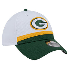 Green Bay Packers New Era Dashmark Rays 39THIRTY Flex Hat White/Green - NFL