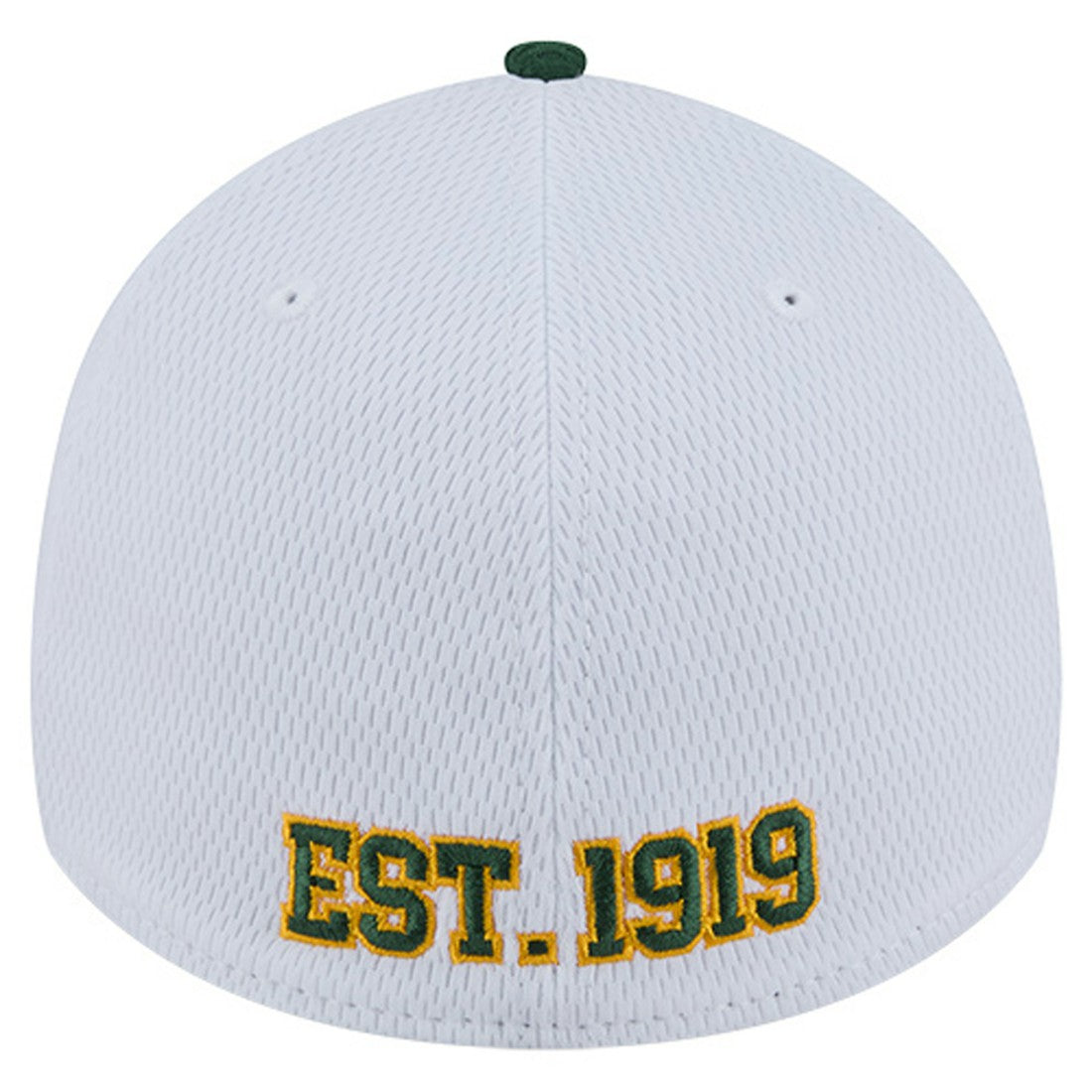 Green Bay Packers New Era Dashmark Rays 39THIRTY Flex Hat White/Green - NFL