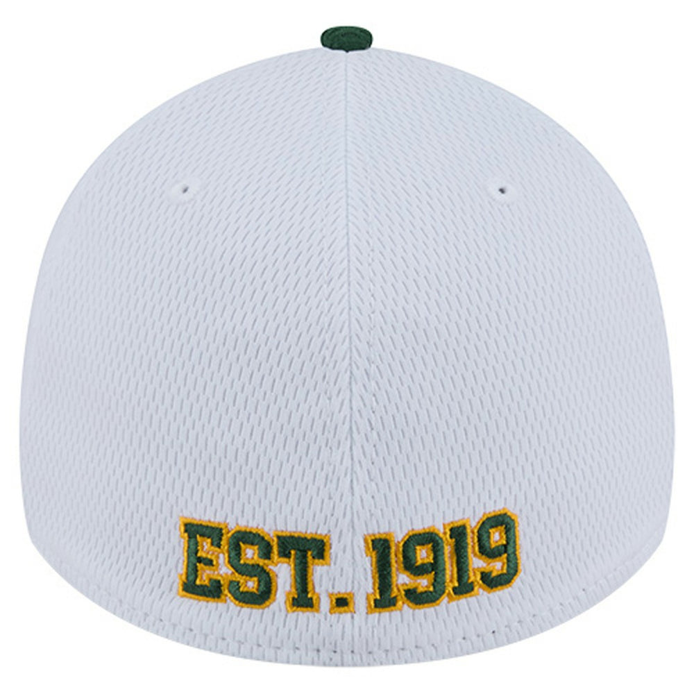 Green Bay Packers New Era Dashmark Rays 39THIRTY Flex Hat White/Green - NFL