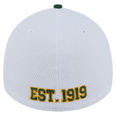 Green Bay Packers New Era Dashmark Rays 39THIRTY Flex Hat White/Green - NFL