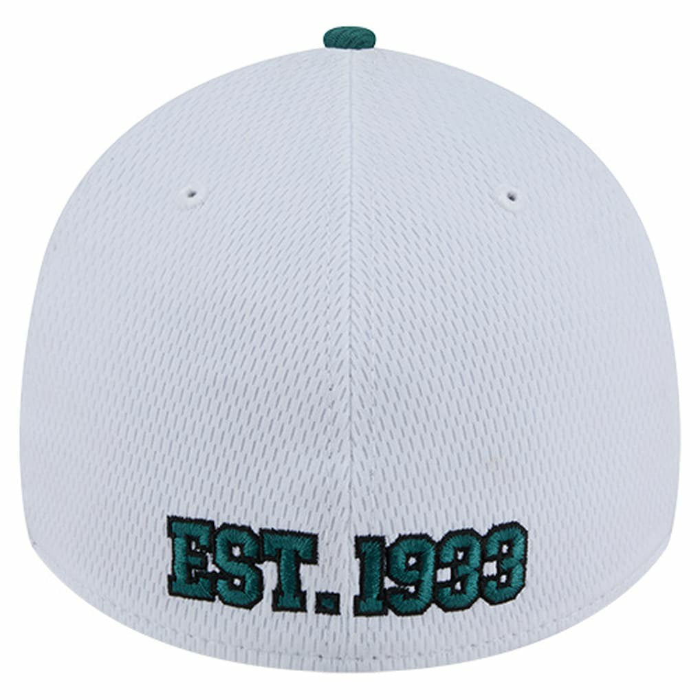 Philadelphia Eagles New Era Dashmark Rays 39THIRTY Flex Hat White/Midnight Green - NFL