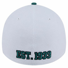 Philadelphia Eagles New Era Dashmark Rays 39THIRTY Flex Hat White/Midnight Green - NFL