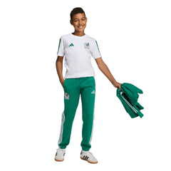 Adidas Mexico National Team Youth FIFA x World Cup Alphaskin Pants - Green