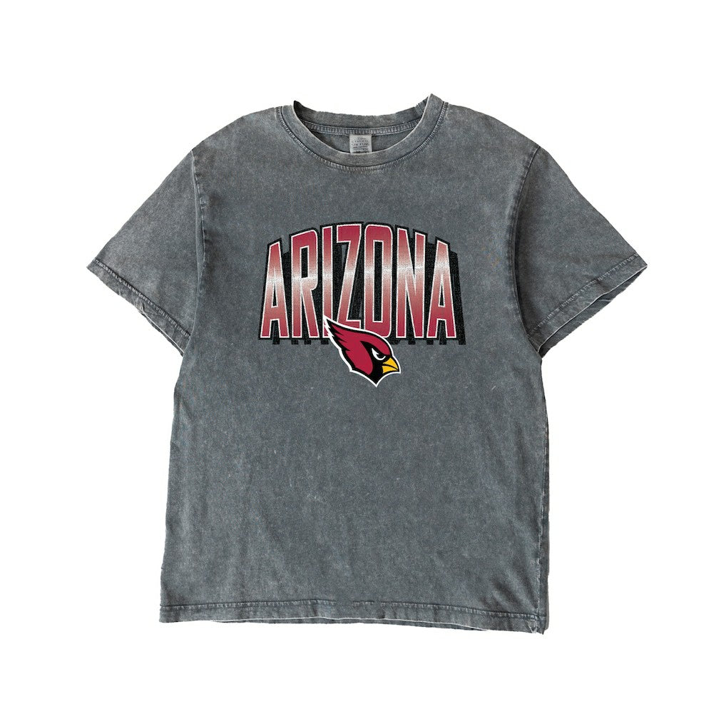 Arizona Cardinals Gameday Couture Women's Peak Performance Oversized Snow Wash T-Shirt Gray - NFL