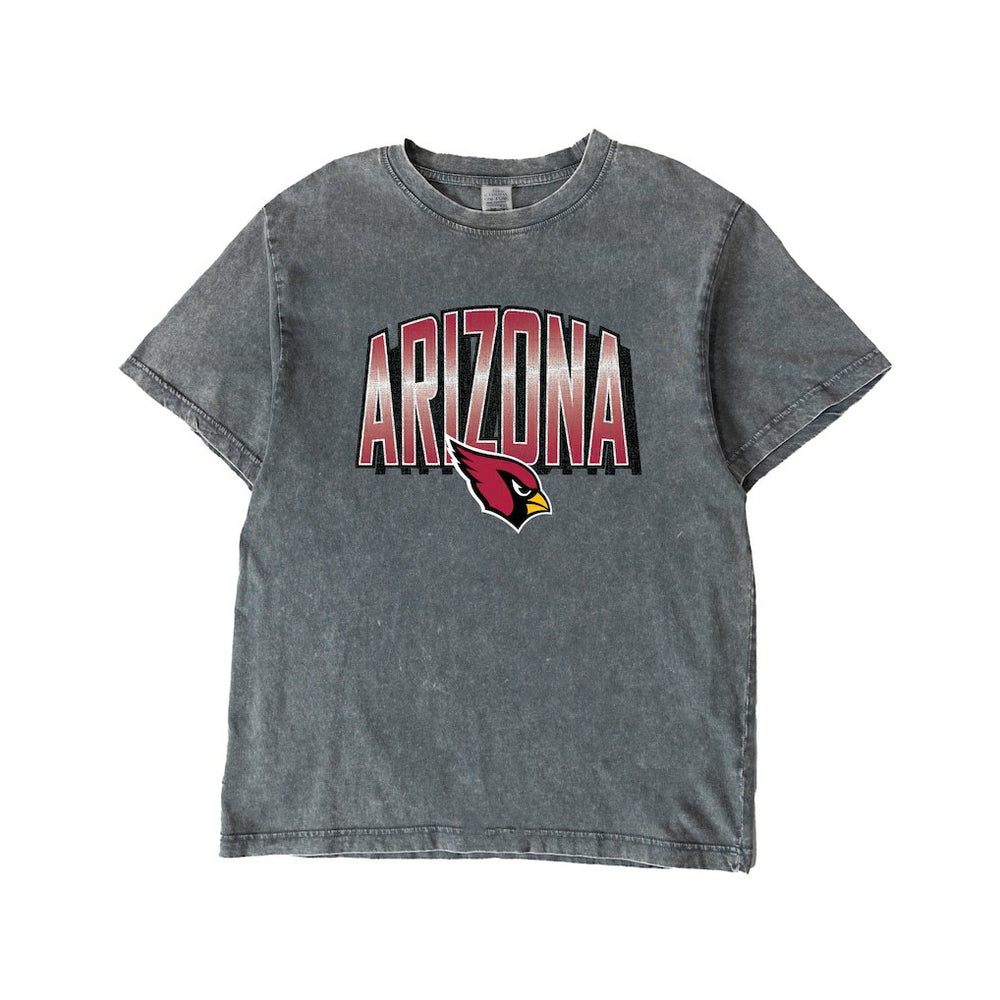 Arizona Cardinals Gameday Couture Women's Peak Performance Oversized Snow Wash T-Shirt Gray - NFL