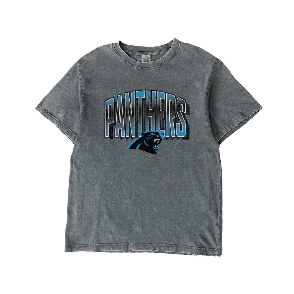 Carolina Panthers Gameday Couture Women's Peak Performance Oversized Snow Wash T-Shirt Gray - NFL