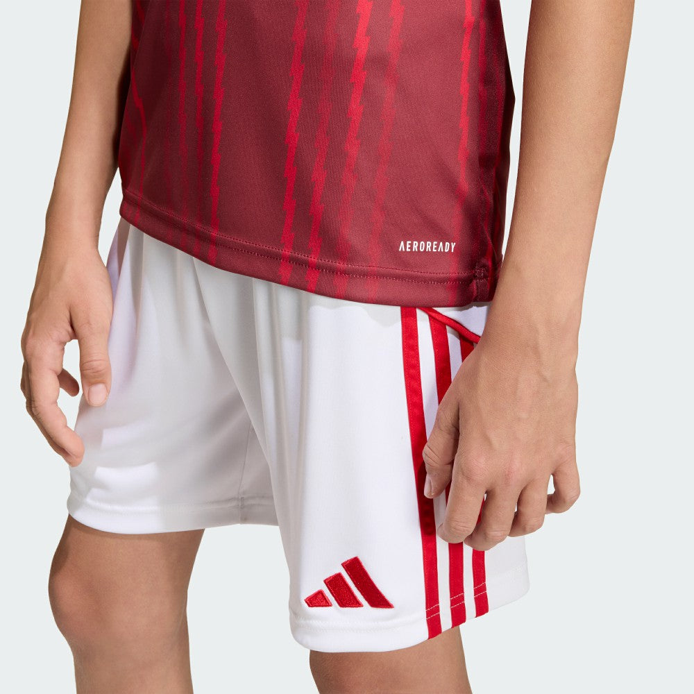 Adidas Arsenal Youth 2025/26 Pre-Match Training Jerseys - Red