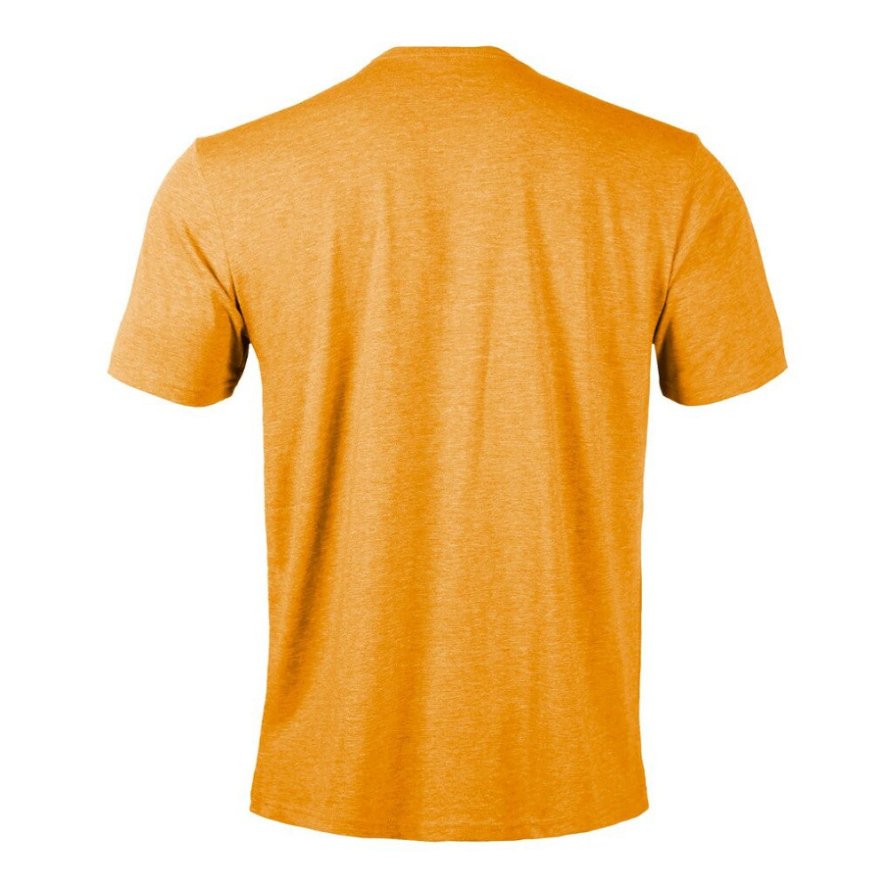 Pittsburgh Penguins Levelwear Richmond Banner Arch T-Shirt Gold