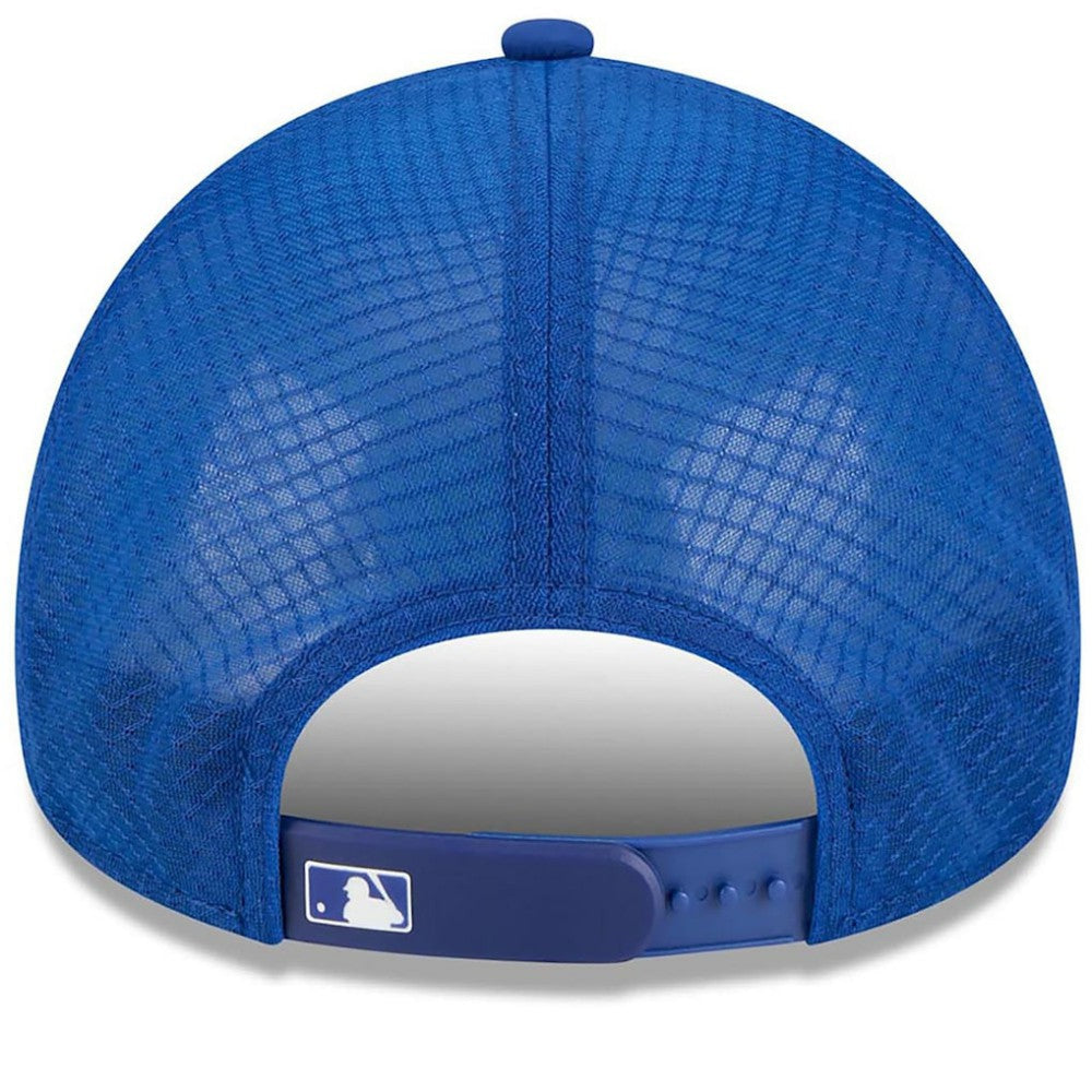 New York Mets New Era 2026 Batting Practice Alternate Apex 9FORTY Adjustable Hat Sale