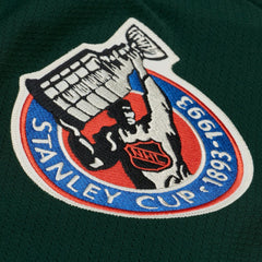 Toronto Maple Leafs - Mitchell & Ness x Just Don Jersey Hoodie Green