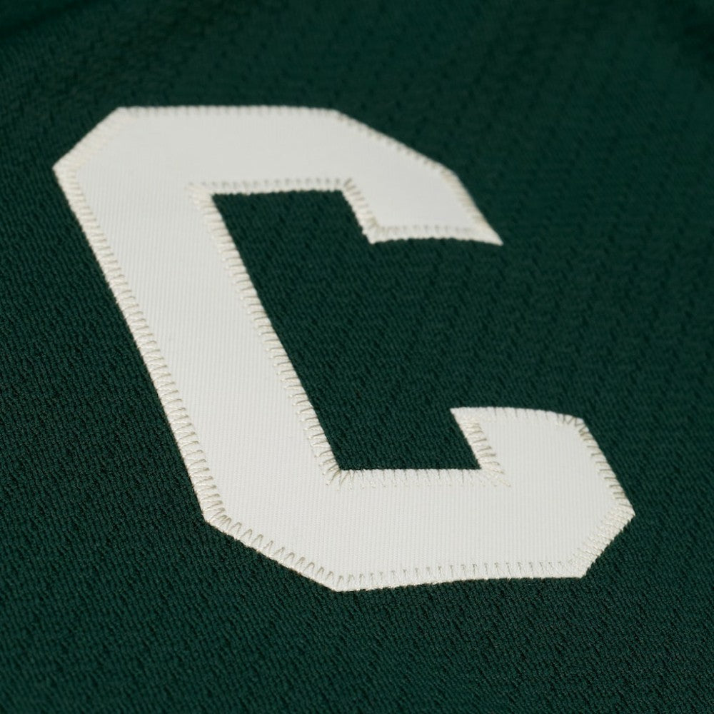 Toronto Maple Leafs - Mitchell & Ness x Just Don Jersey Hoodie Green