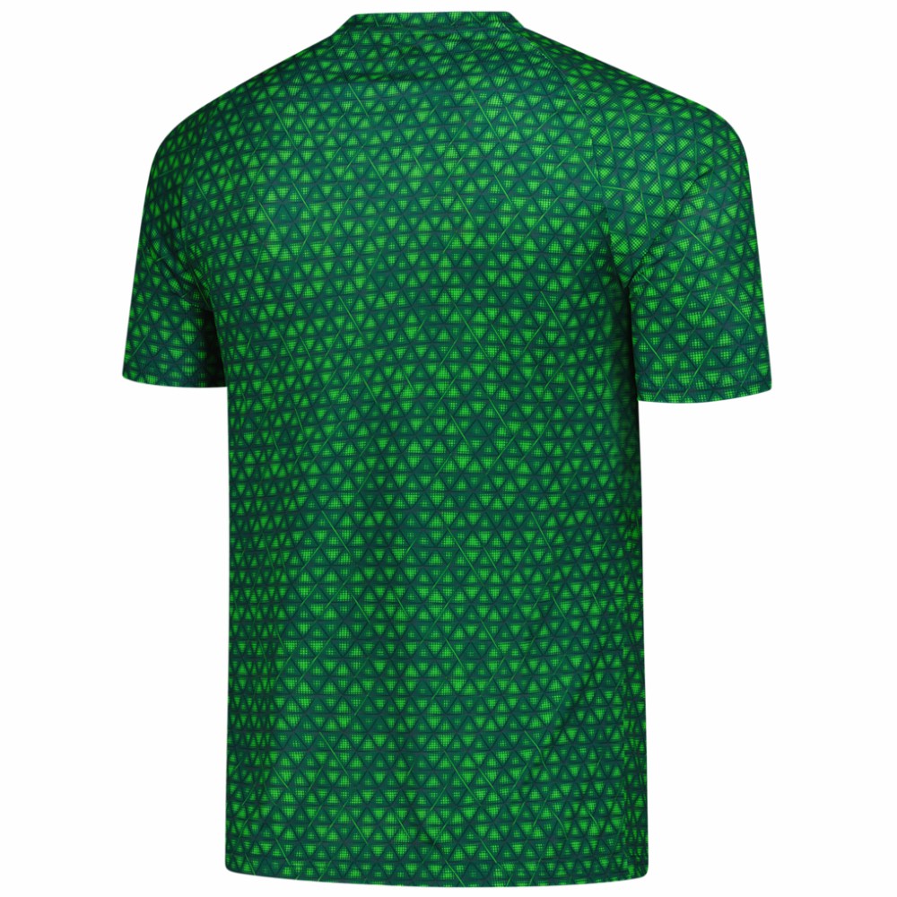 Puma Manchester City 2025/26 Pre-Match Training Jerseys - Green