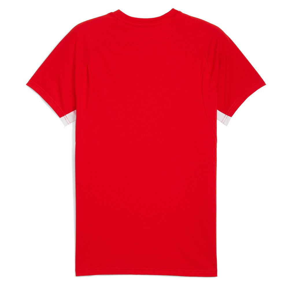 Puma Chivas 2025/26 Evostripe Raglan T-Shirts - Red