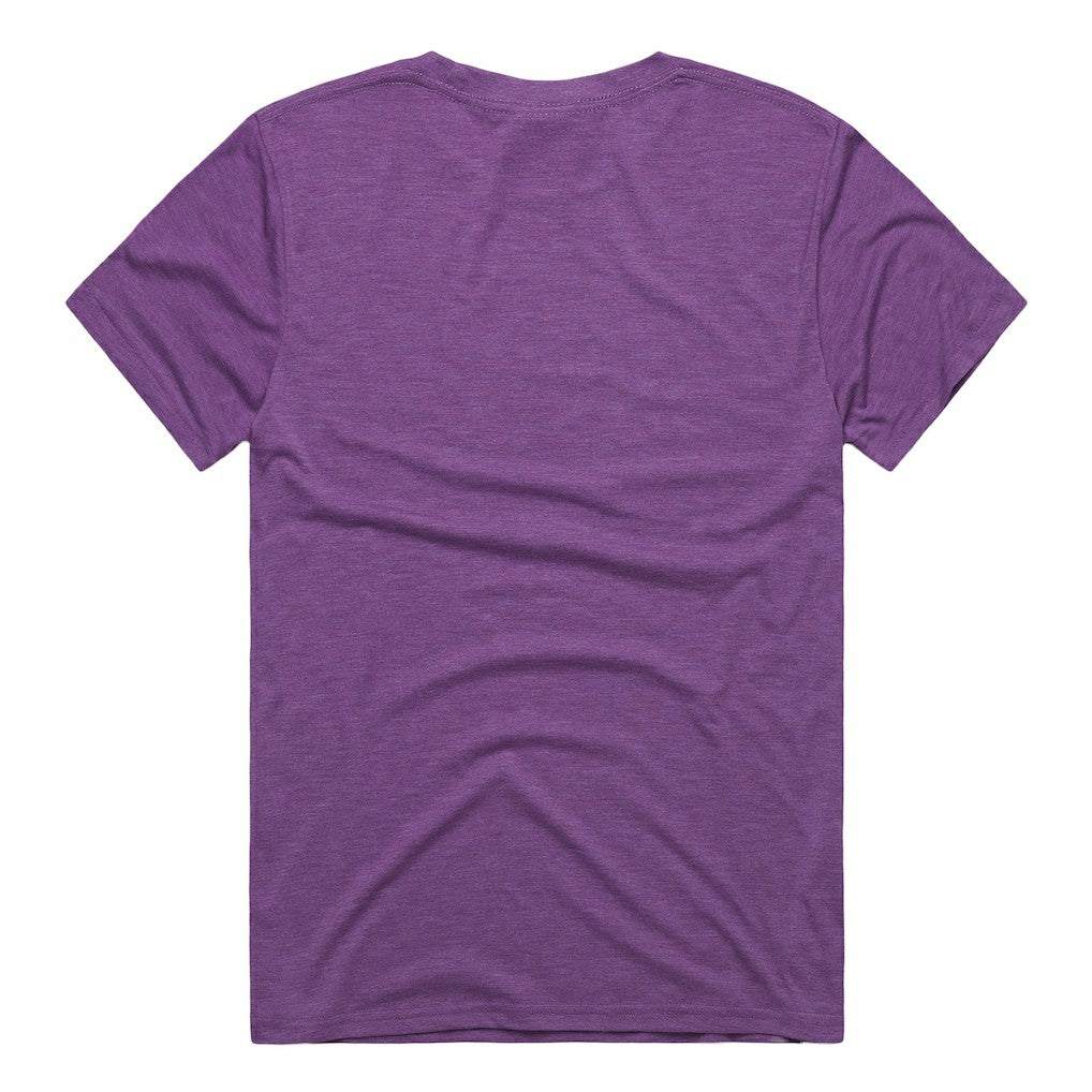 Minnesota Vikings Homage Unisex NFL ASL Collection by Love Sign Tri-Blend T-Shirt Purple - NFL