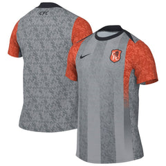Nike Chelsea 2025/26 Academy Pro Pre-Match Top - Gray