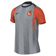 Nike Chelsea 2025/26 Academy Pro Pre-Match Top - Gray