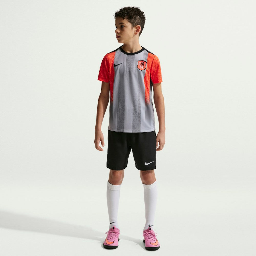 Nike Chelsea Youth 2025/26 Academy Pro Pre-Match Top - Gray