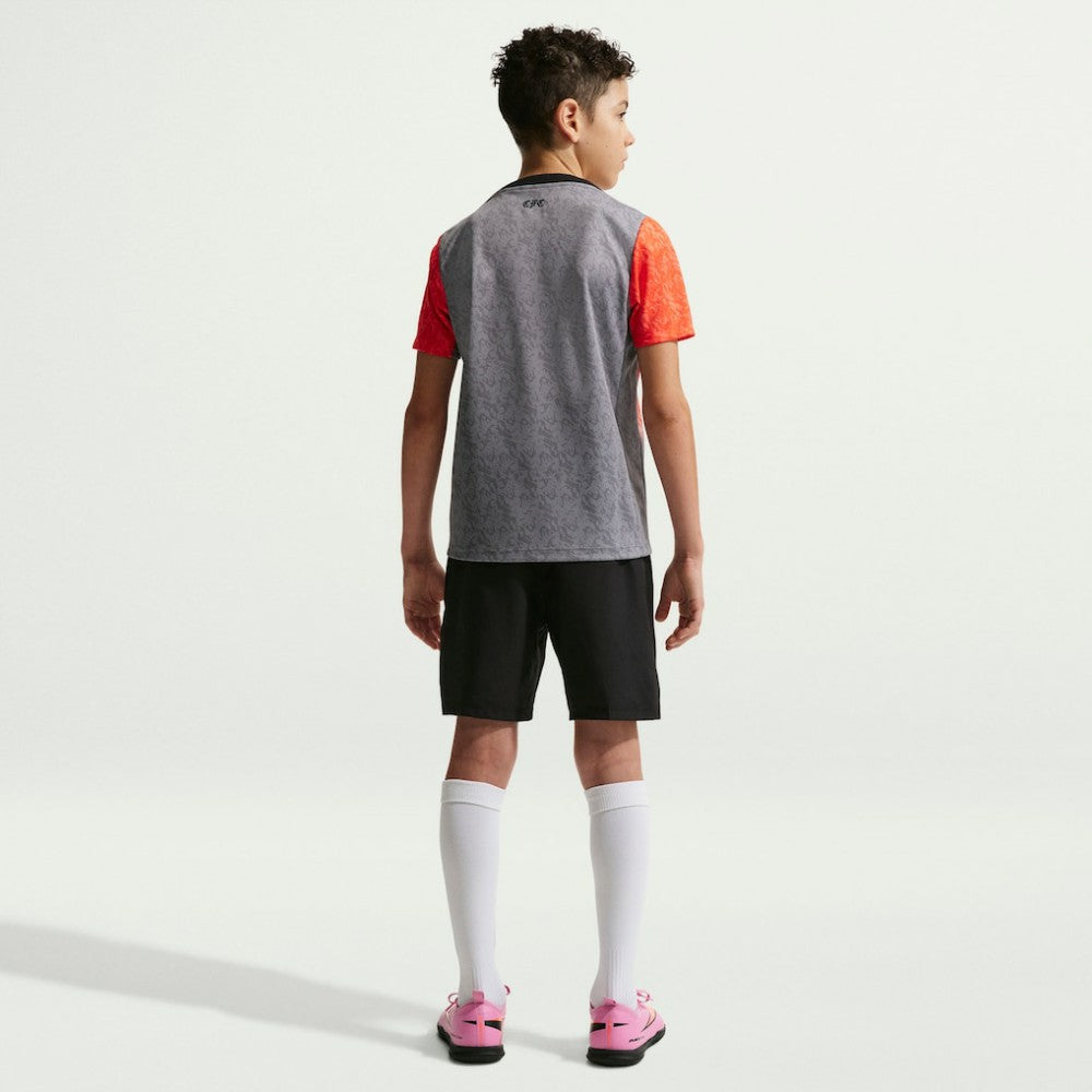 Nike Chelsea Youth 2025/26 Academy Pro Pre-Match Top - Gray