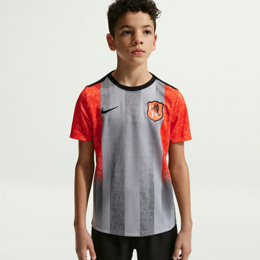 Nike Chelsea Youth 2025/26 Academy Pro Pre-Match Top - Gray