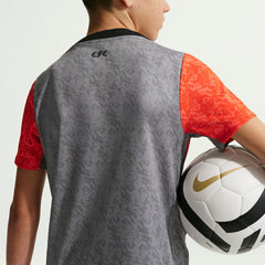Nike Chelsea Youth 2025/26 Academy Pro Pre-Match Top - Gray