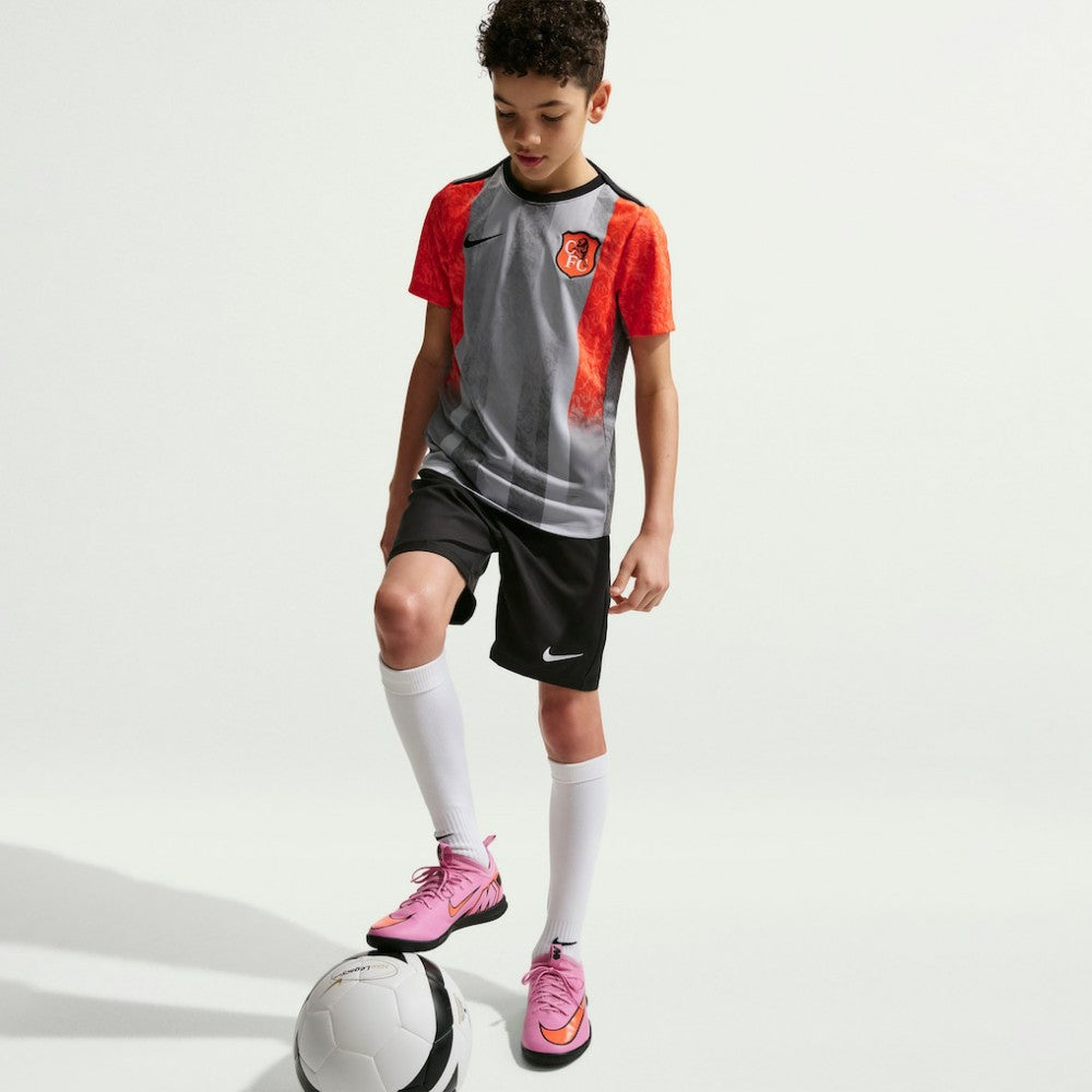 Nike Chelsea Youth 2025/26 Academy Pro Pre-Match Top - Gray