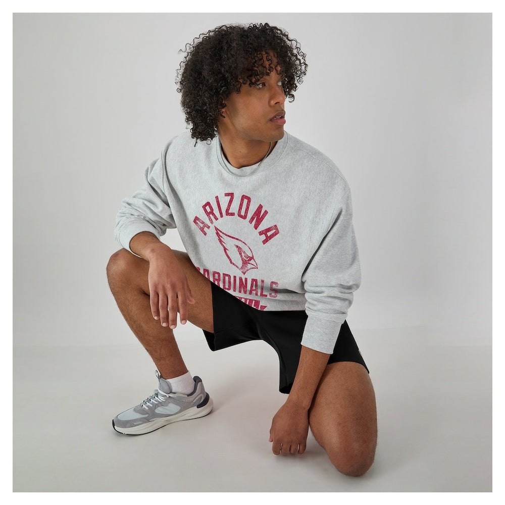 Arizona Cardinals Champion Reverse Weave Fleece Pullover Sweatshirt Heather Gray - NFL