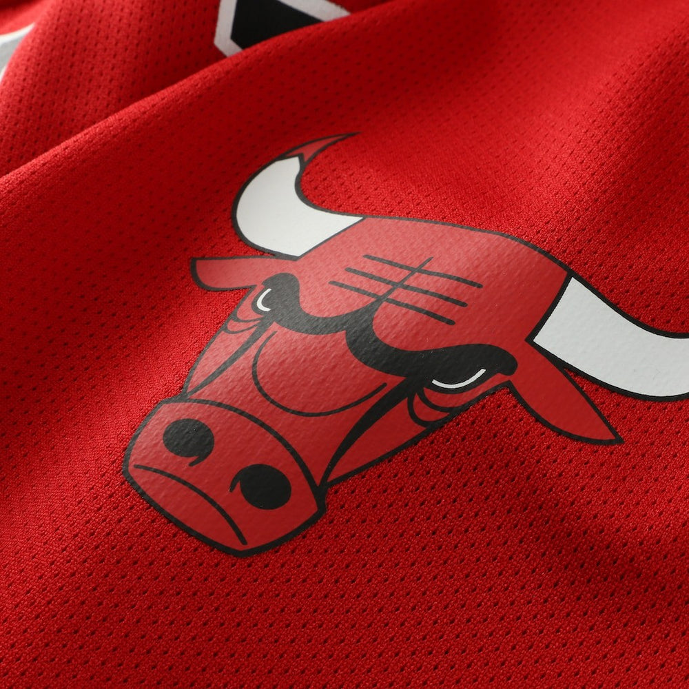 Mitchell & Ness - Dennis Rodman Chicago Bulls Big & Tall NBA Hockey Jersey - Red